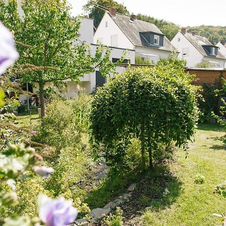 Ferienwohnung Am Breyer Talbach 外观 照片