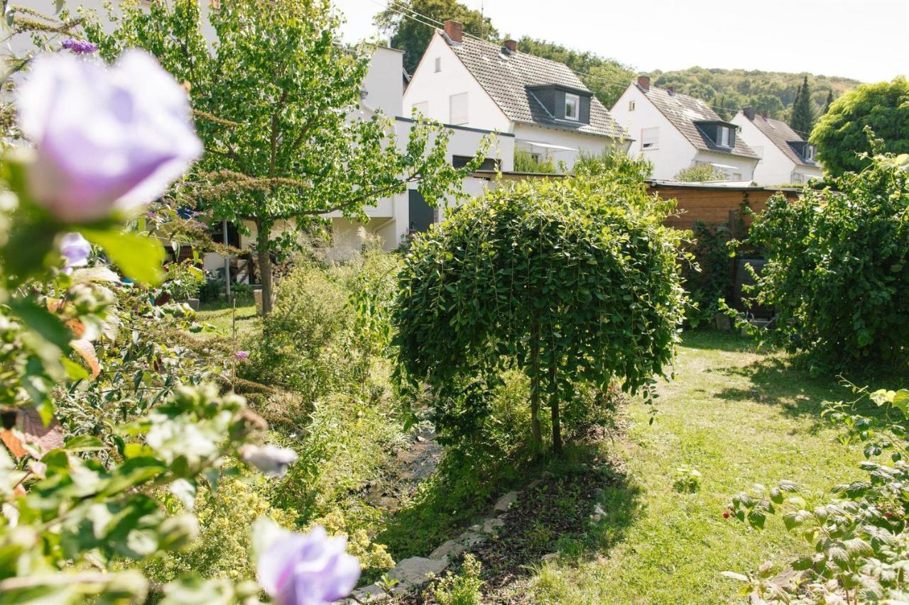 Ferienwohnung Am Breyer Talbach 外观 照片